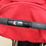 ビングル サンシャインレッド ピジョン