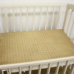 ミニポムST ホワイト キンタロー