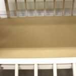 ミニポムST ホワイト キンタロー