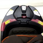 フラディア グロウ プレミアム ブラウン BR 2022764