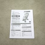 ラクーナビッテ グレー GR 70587