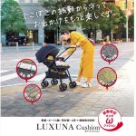 ラクーナ クッション AD