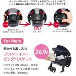 ラクーナ クッション AD