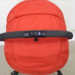 ランフィ エフ ブリティッシュレッド