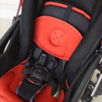 ランフィ エフ ブリティッシュレッド