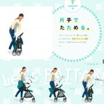 パタン ピジョン