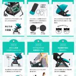 パタン ピジョン