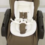 ユラリズム クッション EW くまさんといっしょ BR