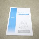 ベビーバウンサー ニューヨークベビー2 03118