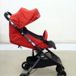 ナノスマート ポンペイアンレッド RD 2025536