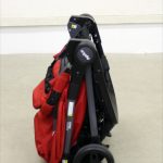 ナノスマート ポンペイアンレッド RD 2025536