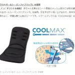 ランフィ リノン