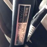 ビングル モノクロストライプ ピジョン