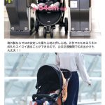 ジョイー ライトトラックス Joie Litetrax