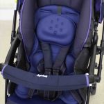 ラクーナ2015 ブルーベリーコンフィチュール NV