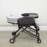 手動ユラリズム ベビーザらス限定モデル はりねずみBR 2109092