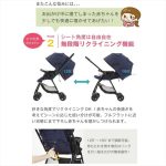 ジョイー スマバギ