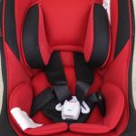 ミニマグランデEG UB レッドルースター