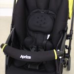 ラクーナエアー ダンデライオン