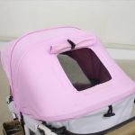 エアバギーココ プレミア クールピンク