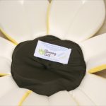 沐浴マット ブルーミングバス レギュラー花びら7枚タイプ カナリアイエロー