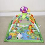 レインフォレスト・デラックスジムII