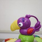 レインフォレスト・デラックスジムII