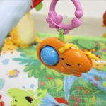 レインフォレスト・デラックスジムII