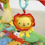 レインフォレスト・デラックスジムII