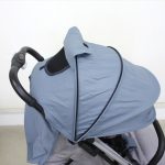 イングリッシーナ クイッド Quid