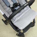 イングリッシーナ クイッド Quid