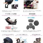 クルット プリュム ストライプネイビー