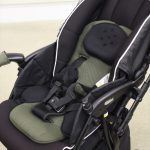 ラクーナ ビッテ クッション グリーン